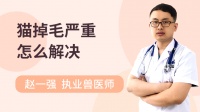 猫掉毛怎么解决