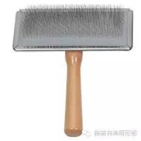 三大招应对猫咪脱毛烦恼