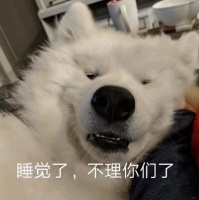 不关注狗狗牙齿，会有这些可怕的后果，别再无知了