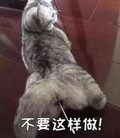 哪些养猫行为，其实是在让猫咪承受巨大痛苦？