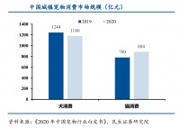 2022年宠物护理行业市场现状分析 生活伴侣打通美丽健康通道
