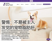 警惕：不易被主人发觉的宠物脂肪肝