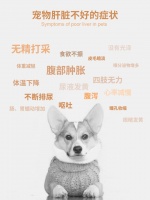 为什么受伤害的总是本汪的肝脏？