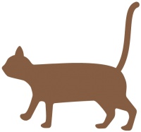 【年终钜惠，半价肾检】仅需150元，提前48个月测出猫慢性肾