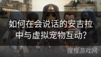 如何在会说话的安吉拉中与虚拟宠物互动？