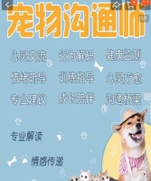 “宠物沟通师”乱象：收费几十至上千元，有人用AI编答案