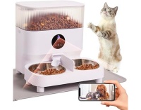 AI识宠 宠物养护互动产品及算法介绍