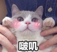 萌宠大集合，赶快加入涪陵宠物交流群，晒出你的爱宠吧！