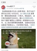 “共享宠物”出现！一天30元不想养还能退 网友：放过狗子吧