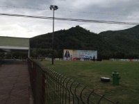 国际名犬选美赛可以免费看三天！原来杭州就有让你和狗狗一起度假、住酒店的胜地