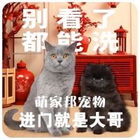 【宠四季宠物度假中心】宠四季宠物度假中心电话，宠四季宠物度假中心地址