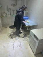 美容基本订满、寄养“一笼难求”……节前宠物消费水涨船高——中国青年网