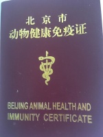 航空托运宠物实战指南