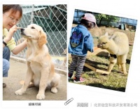 趣活动‖以宠物陪伴为主题的亲子乐园——爱宠小镇