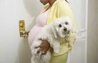 宝宝与爱宠 终究谁去谁留？