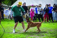 “IEA森友汇”共筑人宠美好生活