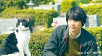 日本电影《旅猫日记》，剧情平实感人，网友：猫咪可爱！