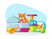 2023年宠物用品及服务行业区域格局分析与布局优化