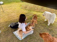 跳上宠物旅游市场的新赛道，开启人生新篇章！