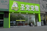 把握宠物旅游市场先机，开启你的创业之路！