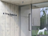 今时今日，携宠出行变得更友好了吗？