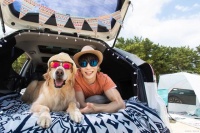 带宠物出门旅游的好处