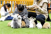 美好时光加盟费多少钱