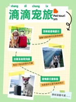 滳滴宠旅：宠物旅行新体验，在旅途中让爱与陪伴同行