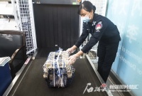 如何带“毛孩子”乘飞机回家过年？乌鲁木齐国际机场这份宠物乘机指南请收好