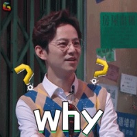 副驾驶不是谁都能坐，宠物坐罚200扣2分！