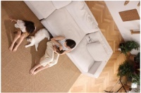 自然无界，福丸诠释人宠空间的艺术美学