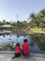 一种狗的特殊使命 — 新京报