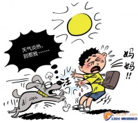 天气渐热小狗小猫脾气见长　专家：注意宠物伤人