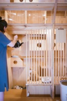 外出前托管宠物要注意啥？这份攻略请看看→