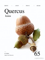 养宠必看｜狗狗外出一定要注意这些