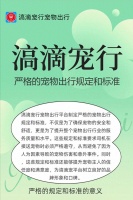 滈滴宠行制定严格的宠物出行规定标准和意义，确保宠物安全和舒适