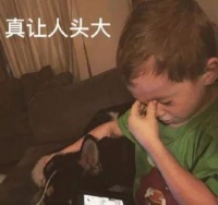 交通工具禁止宠物乘坐，带宠出门寸步难行？最全攻略都在这啦！