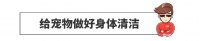 带宠物上车需要多大的勇气？这6点做不好，司机都得哭！