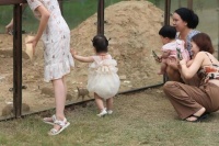 宠物乐园大作战：亲子户外活动，与可爱小动物共度快乐时光！