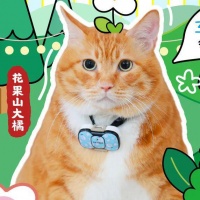 春日萌宠季丨带上毛孩子，共赴天河城奥莱公园萌宠嘉年华！