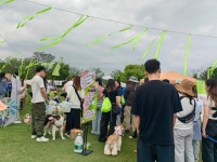 周末全杭州的狗狗的都来这了吧？草地、露营、狗狗运动会，太浪漫了