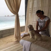 宠物福利：再忙也有人帮你遛狗 这款应用被“硬塞”3亿美元