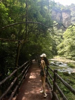 张家界带狗旅游攻略 ,亲身经历分享