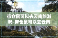 带仓鼠可以去云南旅游吗
