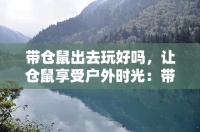 带仓鼠出去玩好吗，让仓鼠享受户外时光：带它们出去玩好吗？