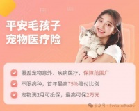 宠物医疗险 | 平安毛孩子宠物医疗险，意外疾病都能赔，最低只要100元