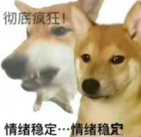 宠物保险pk测评性价比推荐⭕️