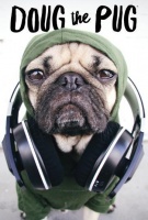 出门主人背，兜风戴墨镜，网红巴哥犬蠢萌示范“宠物旅行指南”