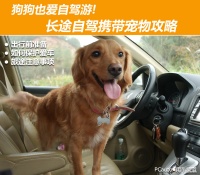狗狗也爱自驾游! 长途自驾携带宠物攻略