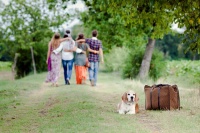 跨越千里，携宠归家——宠物跨省回家的全面指南